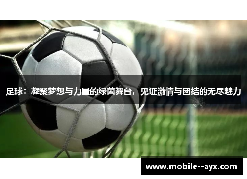 足球:凝聚梦想与力量的绿茵舞台,见证激情与团结的无尽魅力 足球:凝聚梦想与力量的绿茵舞台,见证激情与团结的无尽魅力