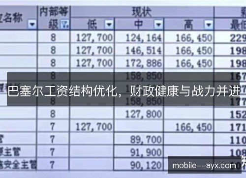 巴塞尔工资结构优化，财政健康与战力并进