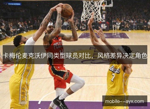 卡梅伦麦克沃伊同类型球员对比，风格差异决定角色